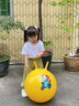 羊角球儿童感统训练蹦蹦球幼儿园宝宝健身跳跳球充气骑坐弹跳玩具 加厚45cm红色熊猫【材质/强承重 实拍图