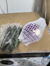绿食者 羽衣甘蓝 绿叶甘兰嫩叶芥蓝菜kale西餐沙拉健康轻食新鲜蔬菜 250g 实拍图