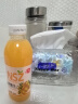 椰瀑沙棘汁饮料整箱果汁饮品360ml大瓶沙棘风味夏季批发网红 360ml*2瓶 实拍图