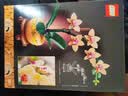 乐高（LEGO)积木ICONS系列10343典雅兰儿童成人拼插积木玩具礼物 实拍图