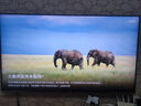Vidda 发现X 轻旗舰 65英寸 海信电视 1024分区Mini LED 家电以旧换新补贴游戏液晶电视65V7N-Ultra 实拍图