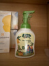 子初（matern’ella）宝宝奶瓶清洗剂草本果蔬清洗液清洁剂洗水果玩具餐具洗涤剂 奶瓶果蔬清洗剂250ml/瓶 实拍图