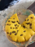 在旗 提子杂粮南瓜糕500g*2包 健康早餐糕点 加热速食蒸糕发糕 面点 实拍图