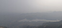 绿林（GREENER）花艺剪刀剪不锈钢修枝剪园艺家用盆栽剪枝剪刀花枝专用剪刀 实拍图