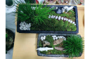 青苔藓鲜活苔藓微景观植物盆景盆栽水陆缸假山草造景材料白发藓短绒青苔- 大灰藓(15*8)cm 2盒 实拍图