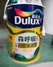 多乐士儿童漆内墙乳胶漆竹炭森呼吸无添加全效油漆涂料墙漆A8106套装15L 实拍图