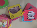 钒象智科扫读笔英语通用翻译笔点读笔万能词典笔中小学课本同步神器学习 早教认知卡动物世界【90面 实拍图