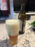 保拉纳【20万人已购】柏龙 精酿白啤 500ml*20瓶 德国进口啤酒  晒单实拍图