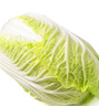 北菜园有机大白菜500g 新鲜有机蔬菜 【进店多样加购】火锅食材 实拍图