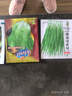 寿禾 油豆角种子苗东北宽芸豆蔬菜种籽 潍育将军一点红油豆种子50粒 实拍图