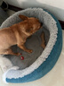 HELLOJOY狗玩具磨牙棒狗狗磨牙玩具幼犬小型犬可食鹿角小号宠物用品玩具 实拍图