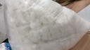 珍珠棉填充棉PP棉棉抱枕芯蓬松棉丝绵太空棉棉花园林养护填充棉 高回弹珍珠棉【1斤】 实拍图