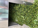 Naliya碎菜机碎草机喂鸡鸭鹅猪养殖家用多功能电动瓜果蔬菜切菜打菜机 304不锈钢【850w】免安装 【贈备用刀片】 实拍图