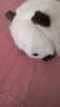 昙蓓漫拉绳摇尾巴玩具小猫咪毛绒公仔会动的网红小猫咪卡通玩偶拉线转圈 【毛绒可爱】拉绳驱动猫咪 17cm拉绳可摇尾巴 实拍图