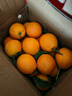 逮果重庆奉节脐橙纽荷尔春橙福本特级大果礼盒装时令新鲜孕妇水果橙子 净重9.3斤大果/75-80mm/15-20个 实拍图