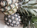梦茜儿海南金钻凤梨 水果8斤新鲜正宗香水无眼菠萝手撕特产生鲜整箱 8斤 A级中果【5-7个】 实拍图
