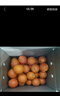 【热销】湖北秭归脐橙鲜果上市 带箱5斤60-65mm 实拍图