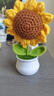 佐之寻向日葵成手工编织成品小花束毛线花小盆栽情人节母亲节教师节礼物 向日葵 实拍图