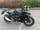 二手铃国四木GSX250双缸水冷小R燃油重机车摩托车跑车可上牌过户 黑色 手续齐全可上牌 实拍图