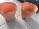 北蔬 花盆带托盘特大简约室外家庭种植 大号仿陶土树脂花盆2个 实拍图