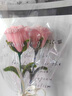 巧心师 粉玫瑰花单支手工礼物扭扭棒成品生日永生花感恩节礼物圣诞节 实拍图