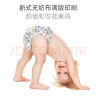BEBETOUR 爱丽丝奇缘系列 奢柔舒适定点下渗 夏日超薄成长裤 成长裤XXXL码-30片/包 实拍图