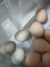我老家新鲜绿壳乌鸡蛋 谷饲喂养 农场直供 30枚 1140g 实拍图