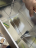 佰伶佰俐保温箱3号保温纸箱牛皮纸折叠铝箔纸箱 冷链保鲜冷藏泡沫箱3只 实拍图