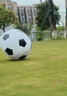 TaTanice充气大足球户外草坪沙滩玩具儿童足球巨型皮球幼儿园专用礼物 【加厚】100CM大足球【送充气筒】 实拍图