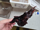 逸乐宠 紫柚木鱼缸造景沉木天然枯木头水族草缸懒人装饰型莫斯树桩根 5-15cm随机发 实拍图