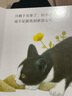 好奇的小猫-动物朋友手指推拉书 0-2岁 乐乐趣童书 故事书机关书   图书开学季    图书开工开学季 张艺兴618 实拍图