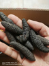 弈腾 【非养殖海参】10年冰岛野生淡干海参冰岛刺参米刺参冰岛海参 普惠30-60头/斤净重500gA005-2 实拍图