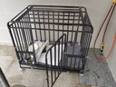 宠乐乖（CHONGLEGUAI）全方管狗笼大型犬中型犬家用带厕所拉布拉多金毛狗笼子92 实拍图