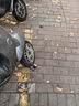 电动车锁防盗摩托车锁三轮车U型锁电瓶车锁抗液压剪自行车单车锁1 006免钥匙上锁【超B级锁芯】 实拍图