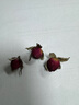 可尝云南金边玫瑰花茶鲜花玫瑰干组合养生茶玫瑰花蕾花草茶 51g金边玫瑰【头茬、品质更好】 实拍图