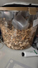 猫掌柜冻干多拼猫粮高蛋白高营养美英短布偶加菲猫全猫期通用主粮 【40%冻干添加】肉松冻干巨无霸 5斤袋装【送补水猫条5支】 实拍图