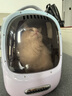 小佩新风猫包二代落樱粉 透明透气外出用大号便携双肩猫包支持充电宝 实拍图