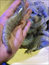 【现货】星河湾海鲜礼盒大礼包14种9.8斤含龙虾/雪蟹/鳕鱼节日送礼生鲜水产源头直发 实拍图