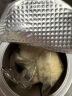 Twinkling star台湾鳖蛋爆毛粉猫咪狗狗美毛粉卵磷脂补钙营养补充猫犬通用 Twinkling star鳖蛋爆毛粉100g/罐 实拍图