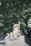 SAMYANG三阳三洋AF35-150mm F2-2.8一镜走天下FE口L卡口全画幅长变焦微单镜头 AF35-150mm F2-2.8L卡口 官方标配 实拍图