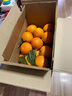 逮果重庆奉节脐橙纽荷尔春橙福本特级大果礼盒装时令新鲜孕妇水果橙子 特级果20斤礼盒装【JD/顺丰】 实拍图