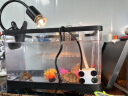 宠小帅鱼缸过滤器三合一壁挂式水族箱增氧过滤增氧盒生态造景循环净水器 【两格】过滤仓 (适用20-30cm鱼缸) 实拍图