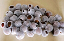 采鲜惠 东北黑珍珠番茄 巧克力西红柿 2.5kg 盘锦盐碱地柿子黑番茄 实拍图
