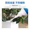 修正杀虫粉剂灭蜈蚣跳蚤药臭虫驱虫家用蟑螂蚂蚁药家用管道小飞娥驱杀 晒单实拍图