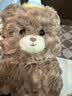 索捷斯车载纸巾盒挂式汽车抽纸盒创意玩偶纸抽盒卡通可爱车内装饰用品 生日小熊【挂式纸巾盒】 实拍图