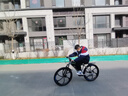 凤凰上海凤凰山地车自行车男士女式学生成人变速宽胎越野公路赛单车 【铝架/全套竞速轴承】六刀消灰 26寸27速【建议身高158-188cm】 实拍图