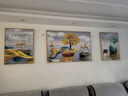诗六艺家饰客厅装饰画北欧现代简约沙发背景墙挂画三联画大气轻奢壁画晶瓷画 富贵有余（铝合金外框） 镶钻画左右60*80+中间120*80亮面 实拍图
