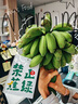 映棠禁止蕉绿广西小米蕉食用观赏带杆拒绝焦虑焦绿水培香蕉整株礼盒装 禁止蕉绿 7斤 -10斤 实拍图