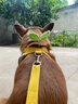 嬉皮狗摇摇乐狗狗牵引绳背心式小型犬宠物胸背狗链 L码 建议8-16斤 实拍图