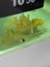 黑壳虾活体观赏花腰虾除藻虾辣椒蟹淡水鱼草缸虾苹果螺清洁虾工具 除藻迷你辣椒蟹12只包活10只 实拍图